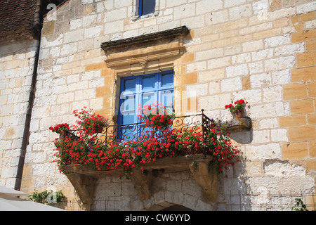 Pelargonien AKA Geranien Anbau in Töpfen auf dem Balkon in Monpazier Frankreich Stockfoto