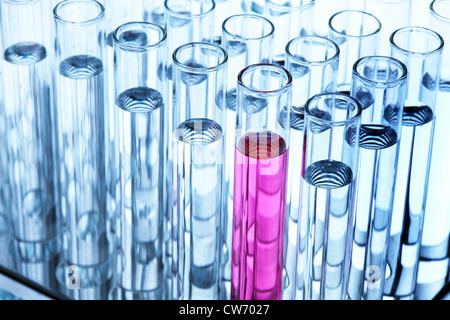 Mehrere Reagenzgläser gefüllt mit farblosen und eine rosa Flüssigkeit steht in einem Reagenzglas-Gestell Stockfoto