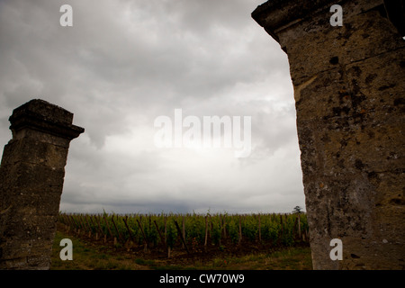 Saint Emilion Monolithic Kirche genommen von einem Aussichtspunkt in Saint Emilion, Südfrankreich Stockfoto