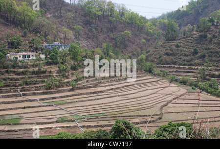 Landwirtschaft trat auf Hügeln in Uttarakhand in Indien. Dies war auf dem Weg vom Hügel Stadt von Lansdowne, die Stadt Kotdwar.