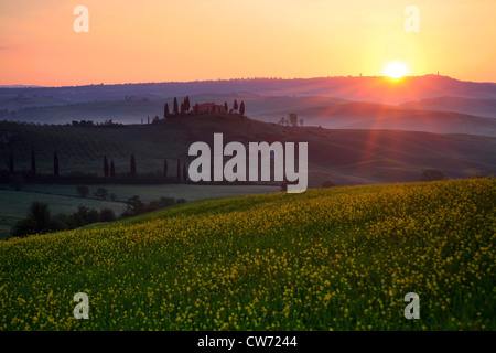 typische Hügellandschaft der Toskana mit Getreidefeldern, Zypressen und Haus bei Sonnenaufgang in der Frühling, Italien, Toskana Stockfoto