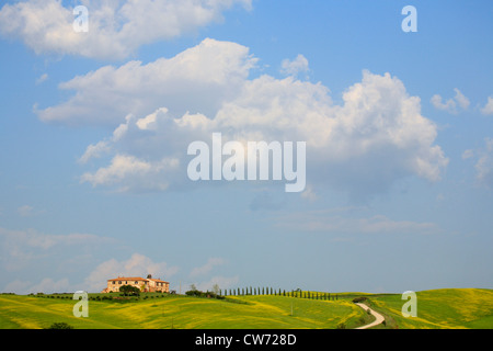 hügelige Landschaft Mit traditionellen Cottage, Toskana, Italien, Tuscany Stockfoto