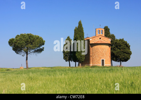 Kapelle des Vitaleta mit Zypressen und Getreidefeld, Italien, Toskana, Val d' Orcia Stockfoto