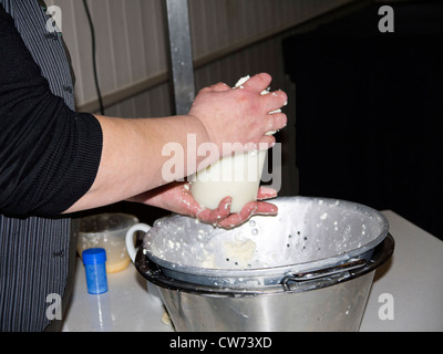 Herstellung von Wensleydale Käse in Hawes North Yorkshire England Stockfoto
