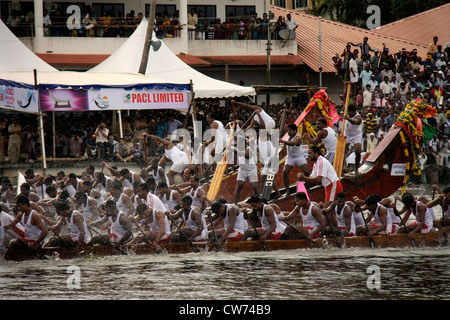 Ruderer von nehru Trophy Snakeboat Race oder Chundan Vallam Rennen in alappuzha Back Waters früher bekannt alleppey, kerala, indien, Schlangenboot Rennen Stockfoto