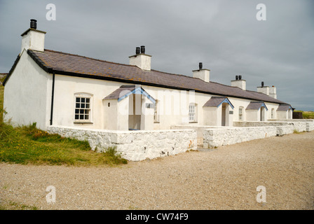 Piloten auf dem Land auf Llanddwyn Island, Anglesey, Nordwales Stockfoto