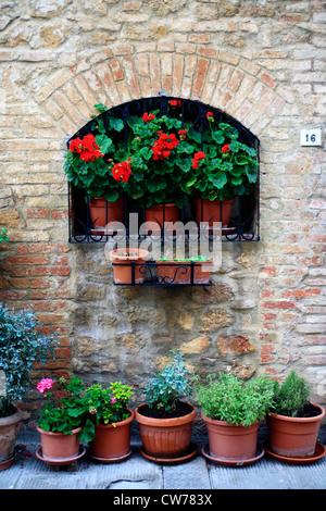 Fenster der alten italienischen Steinhaus, Italien, Toskana, Val d' Orcia Stockfoto