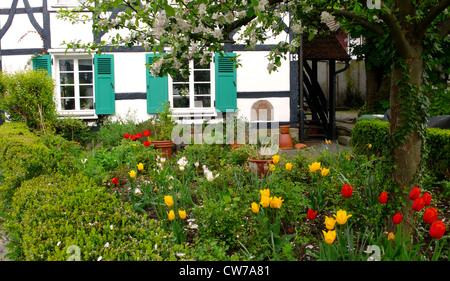 Fachwerkhaus und Vorgarten, Deutschland, Ruhrgebiet, Herdecke Stockfoto