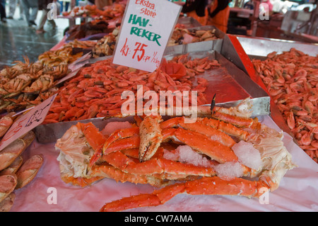 Garnelen und Königskrabben am Fisch Markt, Norwegen, Bergen Stockfoto