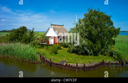 Holzhütte mit Steg auf Neuendorfer Buelten, Deutschland, Mecklenburg-Vorpommern, Neuendorfer Buelten, Saaler Bodden Stockfoto