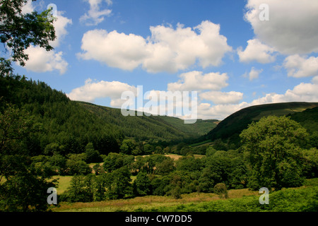Landschaft-Tal in der Nähe von Llanwrtyd Wells, Powys, Wales Stockfoto