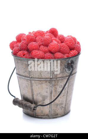 Einen Eimer voll mit frisch gepflückten Himbeeren. Hochformat isoliert auf weißem Hintergrund mit leichten Reflexion. Stockfoto