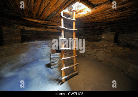 Leiter in einem unterirdischen Raum, Kiwa, Spruce Tree House, eine Klippe Wohnung der Indianer, ungefähr 800 Jahre alt, USA, Colorado, Mesa Verde Nationalpark Stockfoto