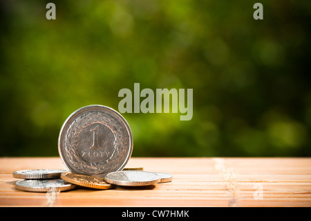 Polnischer Zloty Münze auf grünem Hintergrund Stockfoto