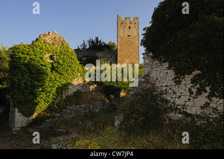 Blick auf den Turm der bewachsene Burgruine von Dvigrad, Kroatien, Istrien Stockfoto