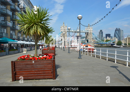 Thames Path Butlers Wharf auf der Themse mit Blick auf die Tower Bridge und die Skyline des Restaurants und Blumenpflanzen mit cordyline Bäumen London UK Stockfoto
