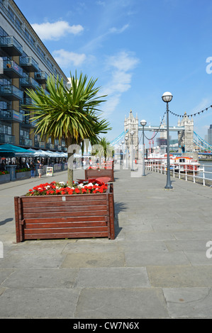 Thames Path Butlers Wharf an der Themse Tower Bridge mit Blick auf Apartments am Flussufer, Restaurants, Baldachinen und rote Blume cordyline Baumpflanzer London UK Stockfoto