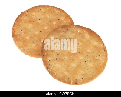 Frische herzhafte Käse schmilzt Runde knusprige Cracker mit Mohn, gegen einen weißen Hintergrund mit keine Menschen isoliert Stockfoto