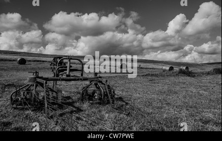 Sammlung von landwirtschaftlichen Maschinen zum Heu machen Stockfoto