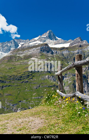 Panoramablick im Sommer der Schweizer Alpen wie gesehen von Sunnegga, Zermatt, Wallis, Schweiz Stockfoto