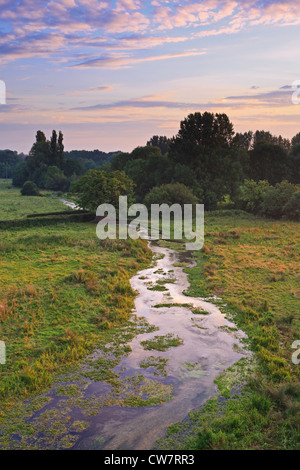 Ein Zufluss für den Fluss Arle in Hampshire als es läuft unter einer Brücke mit einer alten Eiche neben Ziegel Stockfoto