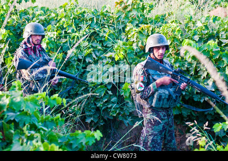 Afghanische Soldaten der Nationalen Armee auf einer gemeinsamen Fußpatrouille mit Soldaten des 2. Platoon, Apache Company, 1. Bataillon, 23. Infanterie-Regiment, in Süd-Afghanistan, 2. August 2012. Stockfoto