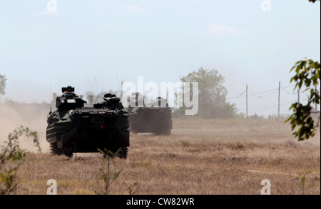 U.S. Marine Corps Amphibienangriffsfahrzeuge mit der Task Force "Zusammenarbeit Sicherheit" Afrika Partnership Station 2012 fahren auf eine feindliche Hochburg zu, während sie rumänische Marineinfanteristen vom 307. Marineinfanterie-Bataillon während eines Strandangriffs in Capu Midia, Rumänien, 12. August 2012 tragen. Der Strandangriff war das letzte Ereignis der Übung Sommersturm 12. Stockfoto