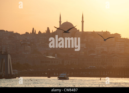 ISTANBUL, TÜRKEI. Das Goldene Horn, eine Bucht des Bosporus, bei Sonnenuntergang. 2012. Stockfoto