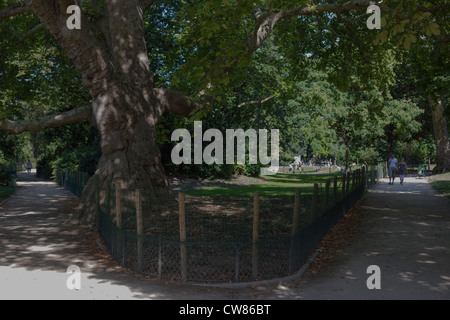 Wanderweg im Parc Monceau, Paris, Île-de-France, Frankreich, Europa, EU Stockfoto