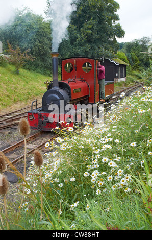 Launceston Steam Railway. Eine 2 Fuß Schmalspurbahn von Launceston, Cornwall mit Quarry Hunslet Motoren ausgeführt. Stockfoto