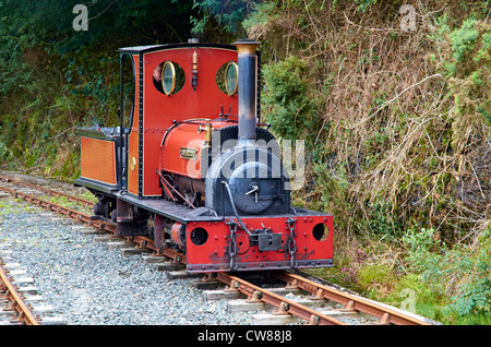 Launceston Steam Railway. Eine 2 Fuß Schmalspurbahn von Launceston, Cornwall mit Quarry Hunslet Motoren ausgeführt. Stockfoto