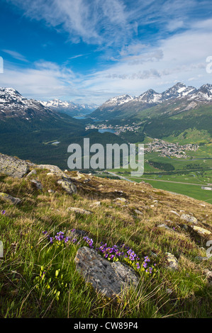 Muottas Muragl, Schweiz. Ansichten von Celerina und St. Moritz von oben auf Muottas Muragl. Stockfoto