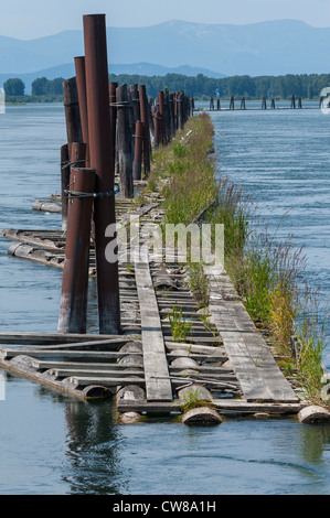 Schwimmsteg entlang der Clark Fork River im Norden von Idaho. Stockfoto