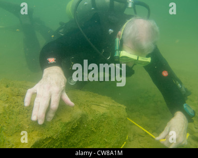 Tauchen in Summersville Lake, Summersville, West Virginia. Stockfoto