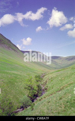 Blackhope Burn Kaskaden durch schwarze Hoffnung Glen, Moffat Dale, Dumfries & Galloway, Schottland, UK Stockfoto