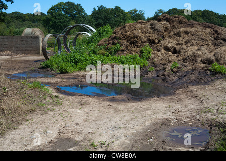 Verschmutzung der Entwässerungsgraben. Kumulierte Rindergülle von Nutztieren, Sickerschacht und Überlauf erreichbar gespeichert. Stockfoto