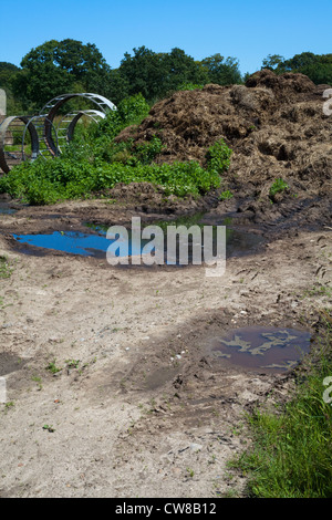 Verschmutzung der Entwässerungsgraben. Kumulierte Rindergülle von Nutztieren, Sickerschacht und Überlauf erreichbar gespeichert. Stockfoto