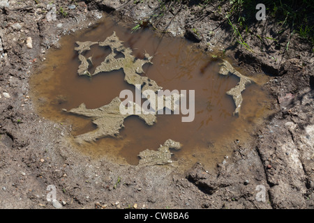 Verschmutzung der Entwässerungsgraben. Kumulierte Rindergülle von Nutztieren, Sickerschacht und Überlauf erreichbar gespeichert. Stockfoto