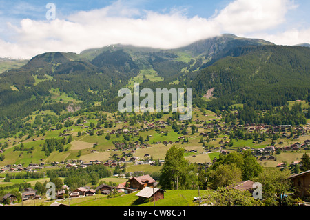 Jungfrau Region, Schweiz. Alm in der Nähe von Grindelwald Tal Eiger. Stockfoto