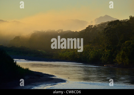 Madidi Nationalpark, Rurrenabaque, Bolivien, Südamerika. Stockfoto