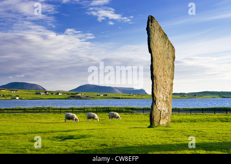 Stones of Stenness, Orkney, Schottland, UK. Stockfoto