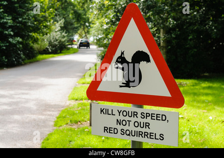 Warnschild bittet Autofahrer zu verlangsamen und kümmern uns mit Eichhörnchen Stockfoto