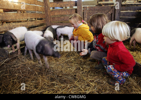 Strahlende Dorfkinder im Schweinestall Stockfoto