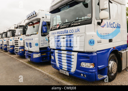 Verschiedene LKW/LKW im Besitz von McCulla Transport, Nordirland Stockfoto