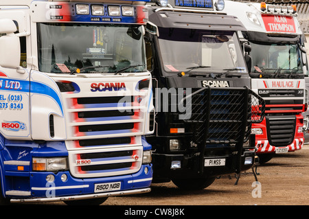 Zwei Scania R500 LKW/LKW und einen DAF XF LKW hintereinander abgestellt Stockfoto