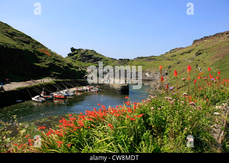 Der schmale Eingang zum Hafen von Boscastle in Cornwall Stockfoto