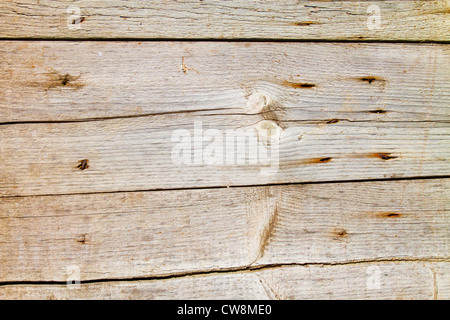 Alte, verwitterte Holz Zaun Bretter mit Knoten, Hautunreinheiten und Rusty nail Marken Stockfoto
