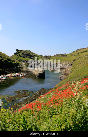 Der schmale Eingang zum Hafen von Boscastle in Cornwall Stockfoto