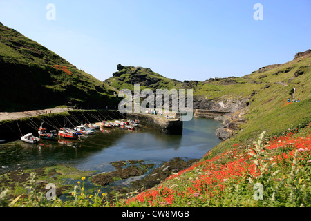 Der schmale Eingang zum Hafen von Boscastle in Cornwall Stockfoto