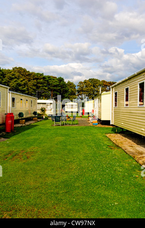 Moderne Mobilheime auf abgelegenen Kies Websites neben dem gemähten Rasen, umgeben von einen Bildschirm von grüne Bäume Stockfoto